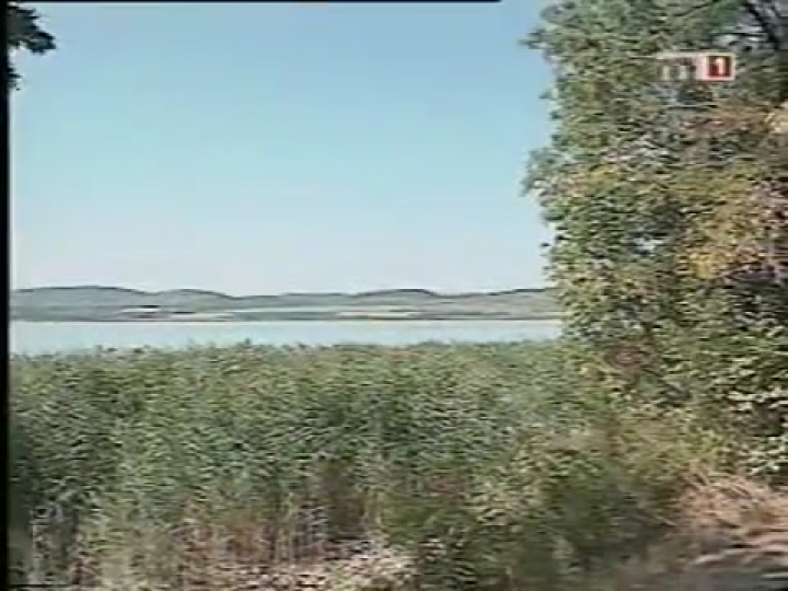 Gálvölgyi - Villámtréfák