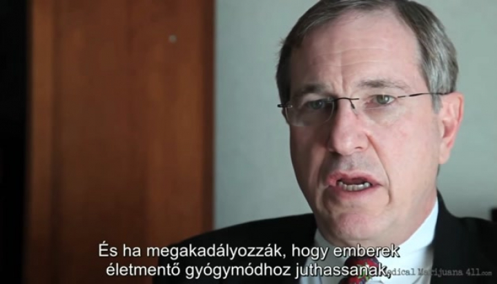 Dr. David Allen - A kannabisz erős antioxidáns, szélütés és szívroham ellen