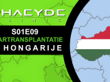 Haartransplantatie in Hongarije - PHAEYDE...