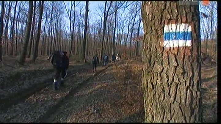 Téli kék 02. Kő és sár
