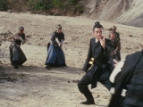 [22] Zatoichi Meets the One-Armed Swordsman...