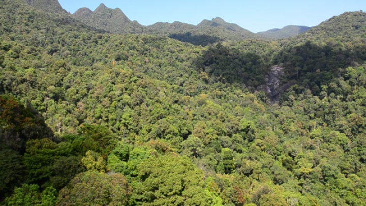 Langkawi Skybridge