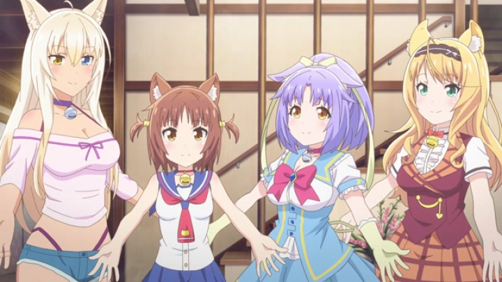 Nekopara (TV) - 08. rész