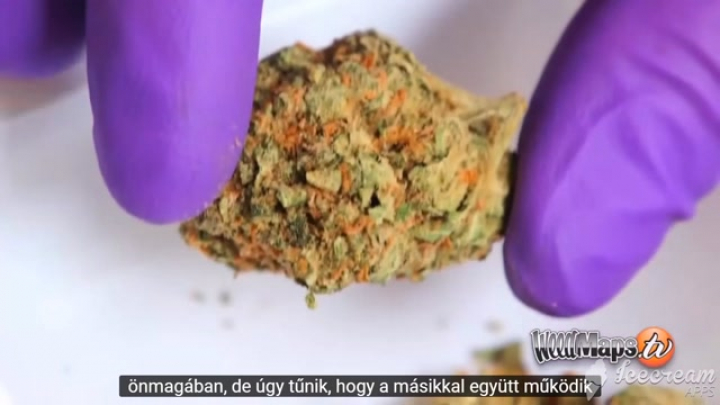 Kannabinoid profil - CBG Cannabigerol