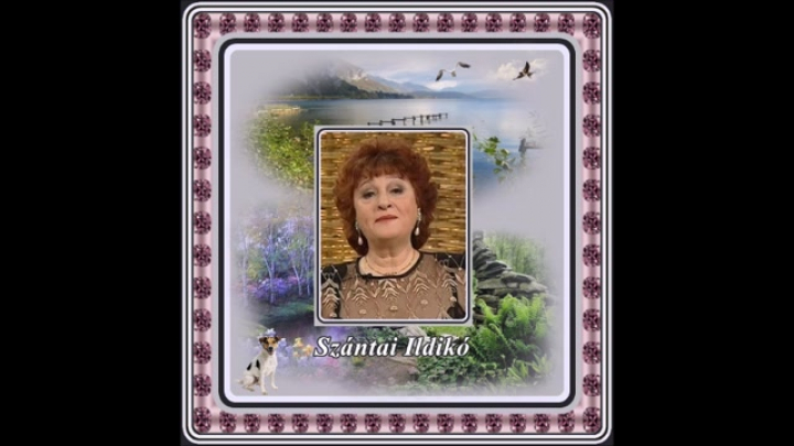 Szántai Ildikó - Két vén eperfa