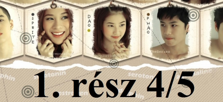 Hormones 1. rész 4/5