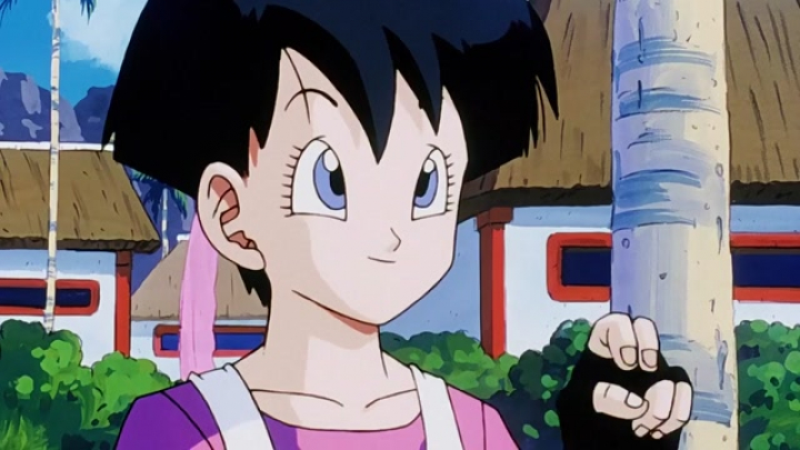 Dragon Ball Z - 209. rész: A világbajnokság kezdete