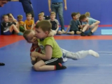 Gerkules 10 24 april 2015