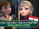 Frozen - For The First Time In Forever...