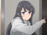 Seishun Buta Yarou wa Bunny Girl Senpai no...