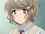 Seishun Buta Yarou wa Bunny Girl Senpai no...