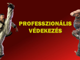 Tekken7 - Tökéletes védekezés