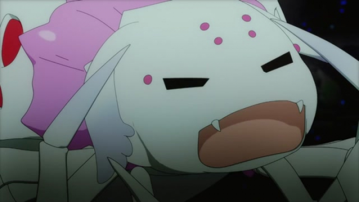 Kumo Desu Ga, Nani Ka? 16.rész