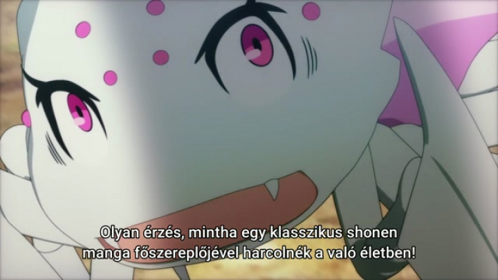 Kumo Desu Ga, Nani Ka? 22.rész