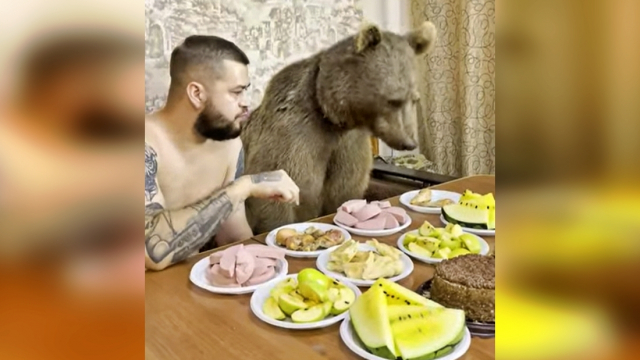 Reggeli egy medvével