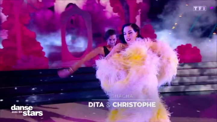 dals11p3 dita