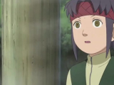 Naruto Shippuuden 188.rész [WOF]