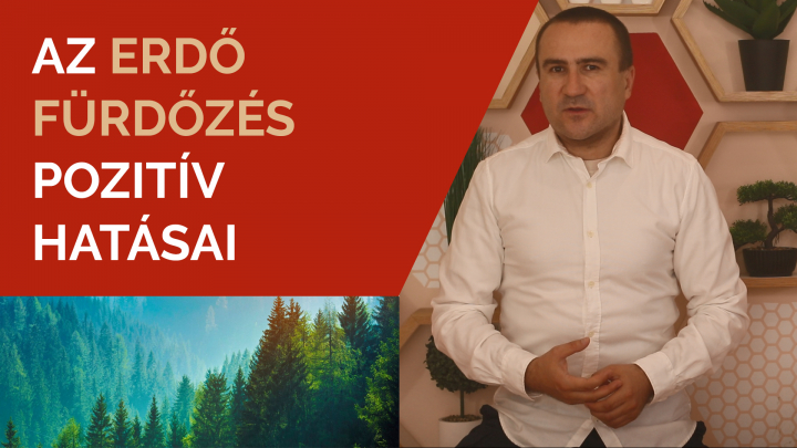 Az Erdőfürdőzés pozitív hatásai