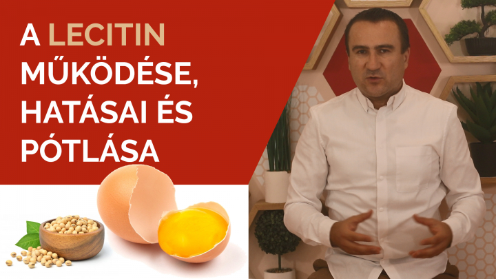 A lecitin működése, hatásai és pótlása