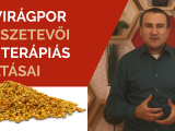 A virágpor összetevői és terápiás hatásai