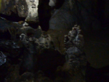 Cat Ba Nemzeti Park: Trung Trang barlang