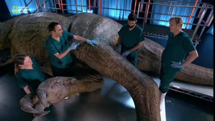 T. rex ízekre szedve - 2015