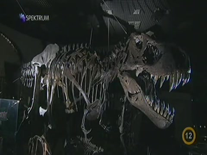 A legyőzött dinoszauruszok 2.rész - Tollas dinók