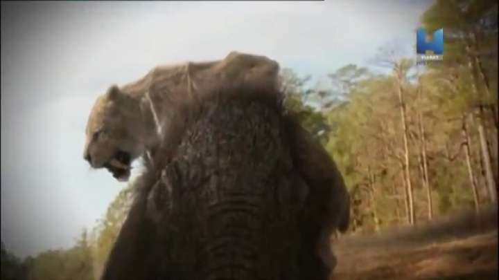 Múzeumi rejtélyek 2. rész - Smilodon - 2011 - 2014