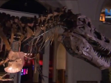 Múzeumi rejtélyek 6. rész - Tyrannosaurus -...