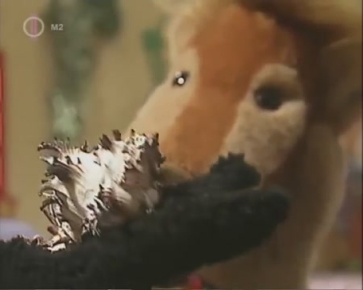 Süni és barátai - A tenger hangja