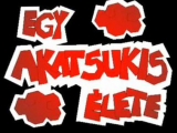 Magyar Anime Fan Art Openingek (Top Clip 5.rész)