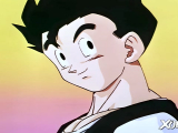 DBZ OP2 GER