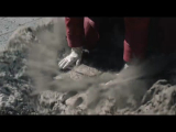 FMA