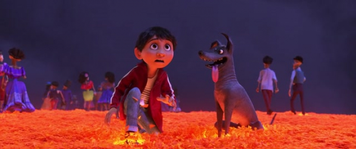 Coco  NO movie NO