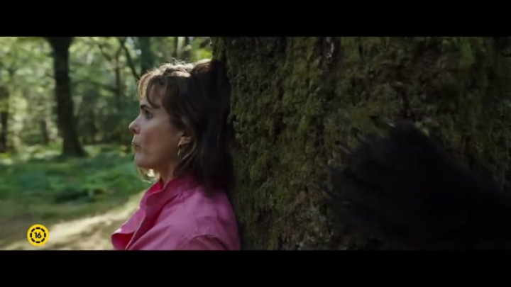 Kokainmedve - magyar nyelvű előzetes