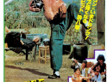 Részeges karatemester 1 (1978)