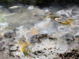 Új-Zéland, Rotorua: forro patak a Waimangu...