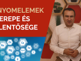 A nyomelemek szerepe és jelentősége