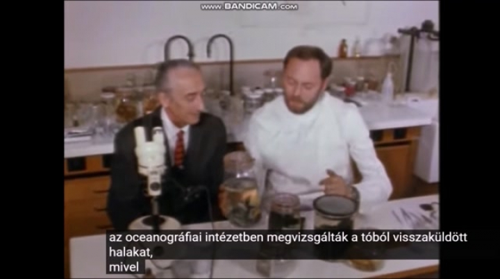 Ticicaca tó, Jacques Cousteauval