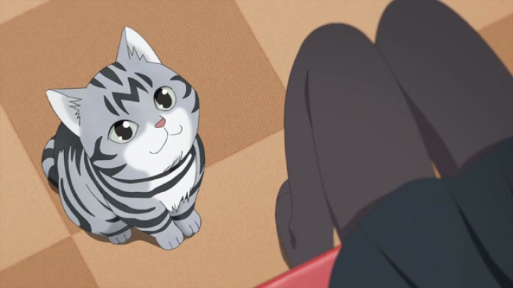Kawaisugi Crisis 1.rész [Magyar felirat]