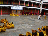 Tashi Lhunpo kolostor