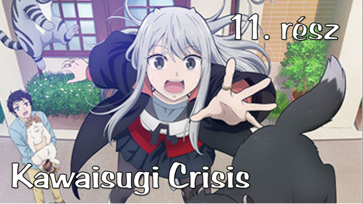 Kawaisugi Crisis - 11. rész (magyar felirattal)