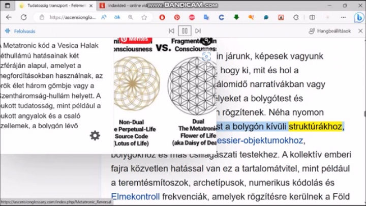 Transzlokáció