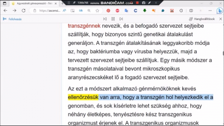 Digitális iker