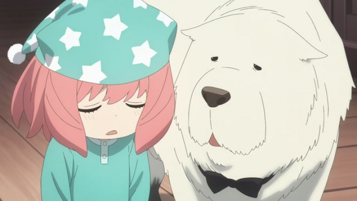 Spy X Family anime 2. évad 1. rész magyar felirattal [NKWT]