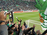Ferencváros - Videoton, OTP Bank Liga (Fradi...