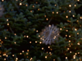 Jonas Kaufmann - It's Christmas
