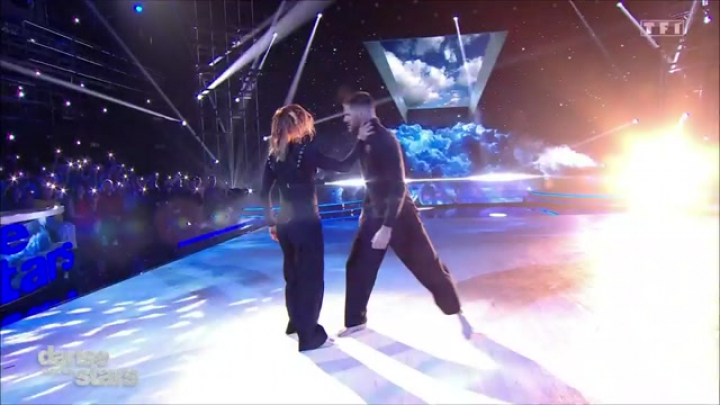 dals13p1fauve danse
