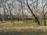 Szilas park