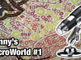 Mikroszkóp alatt #1 - Bunny's MicroWorld